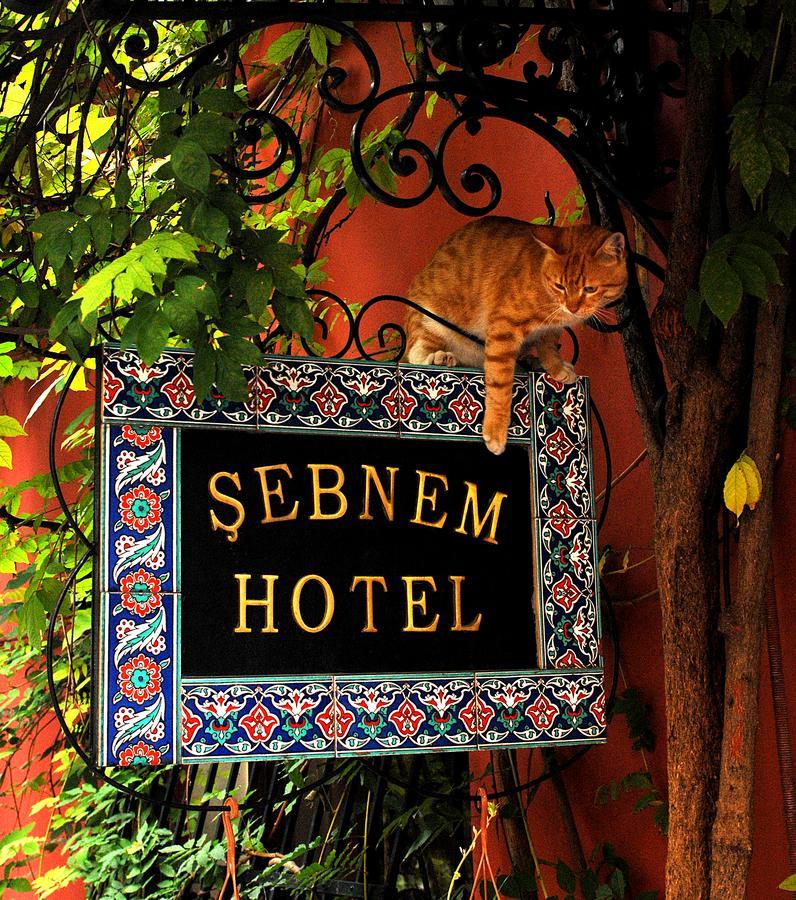 Sebnem Hotel Istanbul Exterior photo
